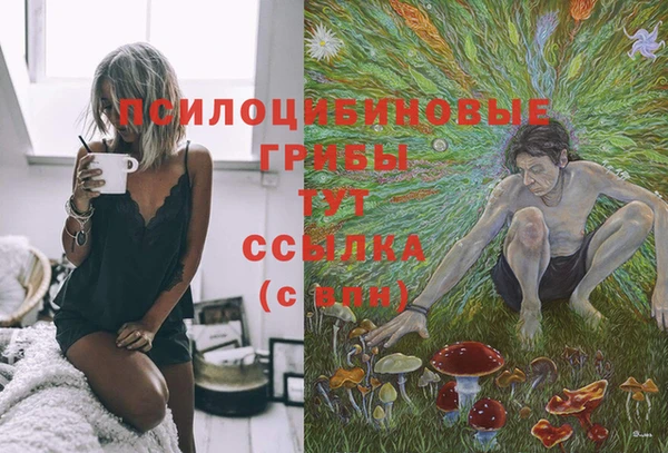 кокаин Алексеевка