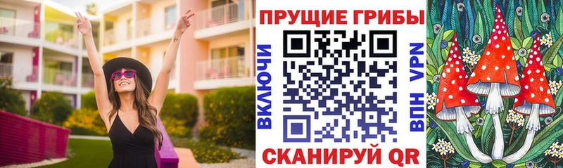 Галлюциногенные грибы Psilocybe  наркота  Курлово 